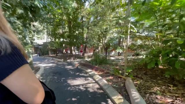 Cute Koalas, Birds and Emus| Lone Pine Koala Sanctuary| Australia| Mari Chelle| Part 2 смотреть онлайн