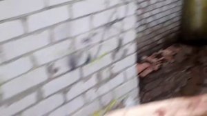 Бойня свиней Д.Тетері 2018-06-15 16:41