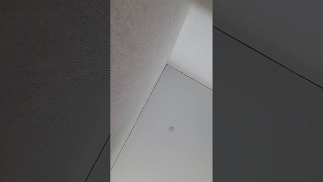 божья коровка смотреть онлайн