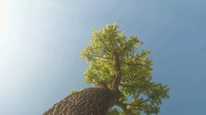 Кот Басё (Светлана Лаврентьева), "Возвращаться из города-камня в твой город-сад"