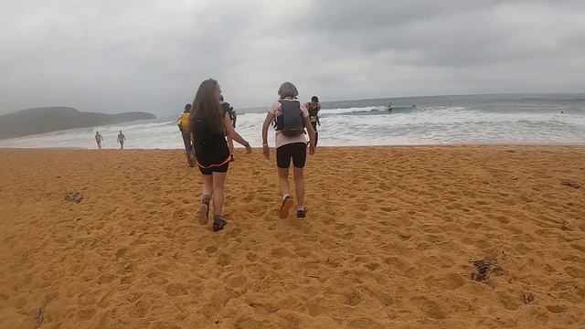 Wagstaffe to Avoca Beach I 23 KM I Trail Walk смотреть онлайн