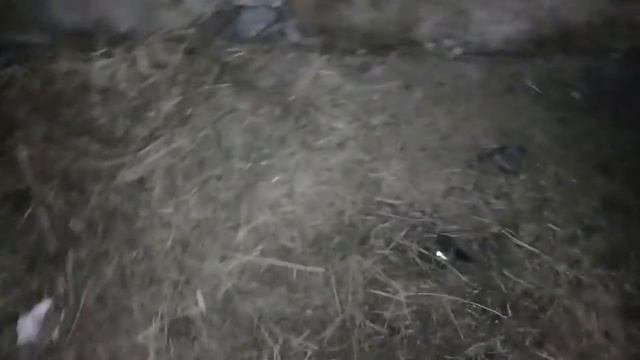 Ауылдық жаналық тар смотреть онлайн