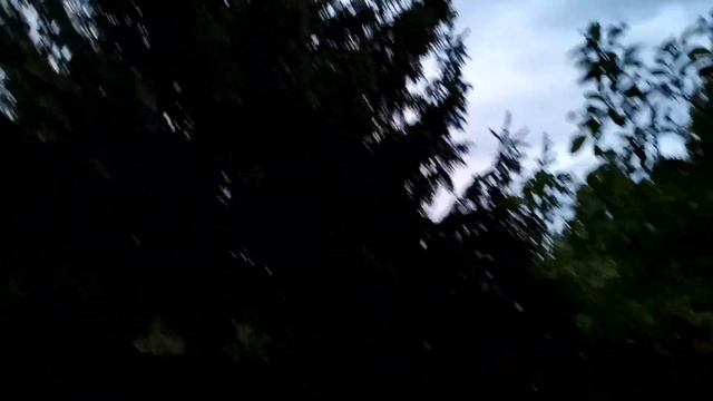 Для вас, друзья, песни соловья #жить_по_белорусски #дача смотреть онлайн