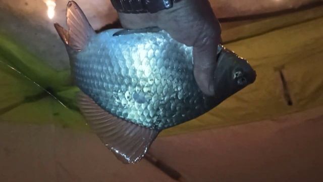 22 февраля 2022 г. смотреть онлайн