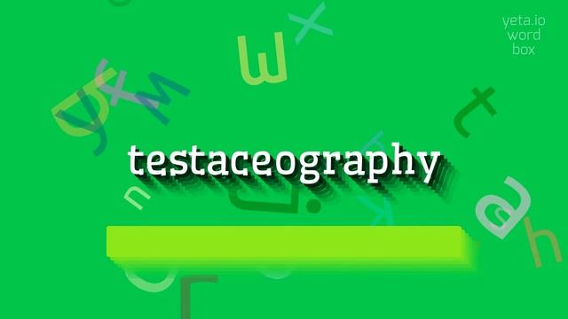 HOW TO PRONOUNCE TESTACEOGRAPHY? #testaceography смотреть онлайн