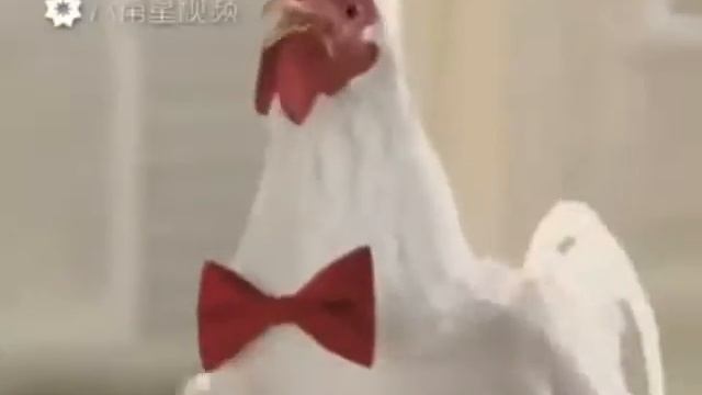 Пісня курей смотреть онлайн