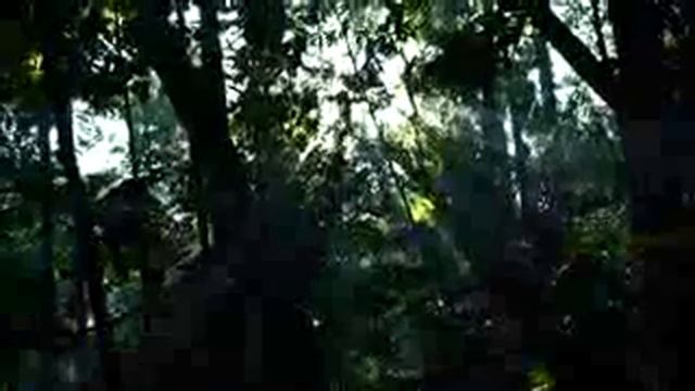 Tabu day 2 (lowong heijo) смотреть онлайн