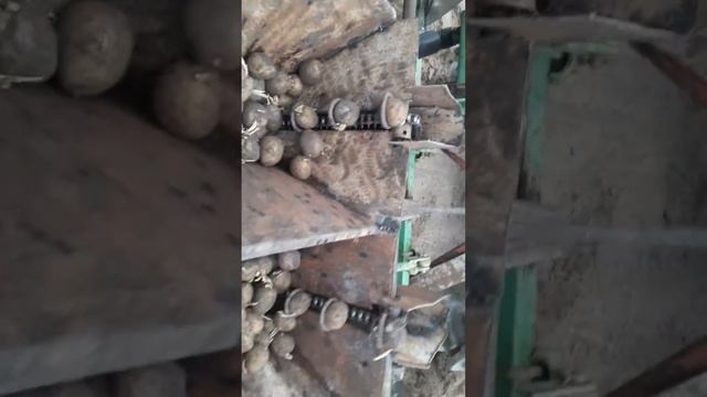 Kartoshka eish selka смотреть онлайн