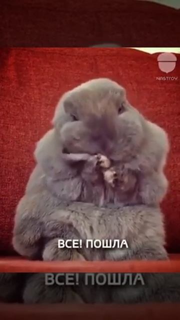 Просто чудо смотреть онлайн