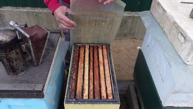 зимовка двухрамочных отводков смотреть онлайн