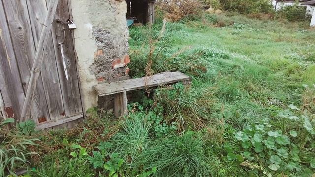 grandma's house | DJI osmo pocket 2 смотреть онлайн