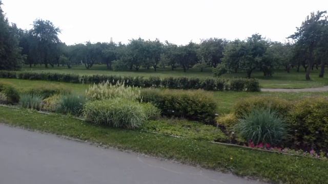 Москва, Коломенское. 13.06.2021. смотреть онлайн