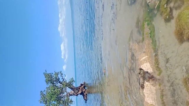 🏊SWIMMING TIME NA C NANAY NORMA 🏊 смотреть онлайн
