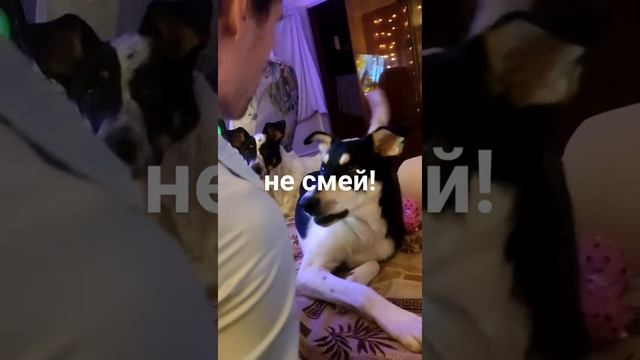 2 час ночи, а им играть.. смотреть онлайн