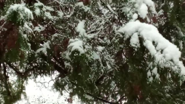 Крым Симферополь