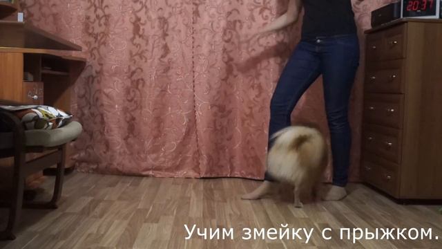 Обучение : "Одеяло", несколько видов "змейки", "Держи" P.s. ЧиП =) смотреть онлайн