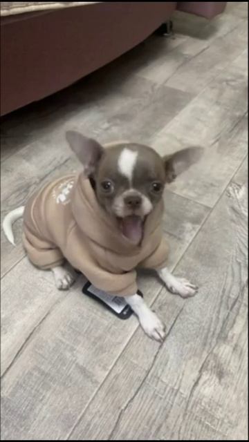 Урааа пятница смотреть онлайн