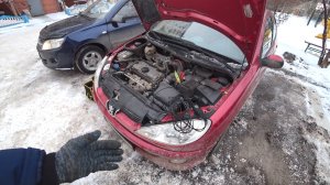 Хозяин упал в ступор от причины неисправности его Peugeot 206