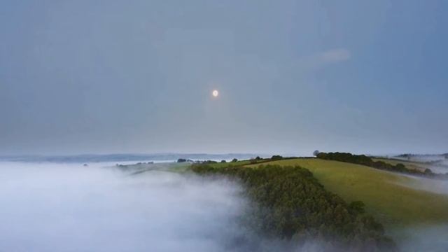 Red is the Rose смотреть онлайн