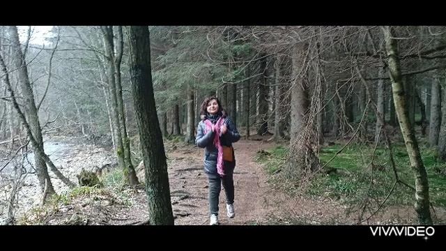 HRIVIPO: Tодоров ден in Hohes Venn, Aynur, 11 km, 04032023 смотреть онлайн