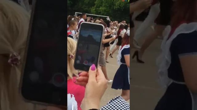 Голубь не хотел улетать😂😂😂 смотреть онлайн