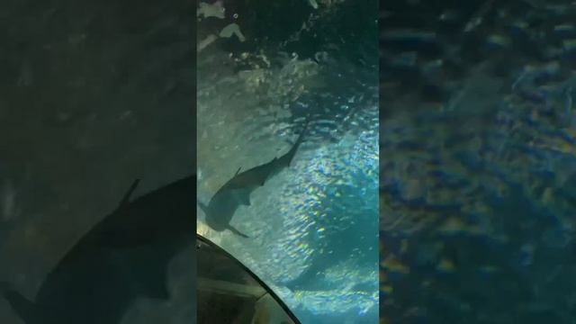 10 апреля 2023 г. смотреть онлайн