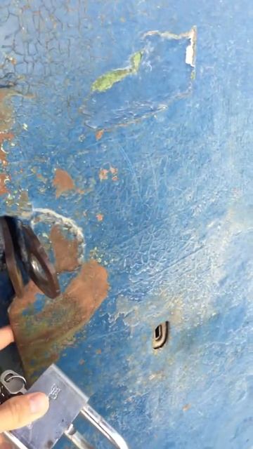 Кошка встречает хозяина после выходного дня смотреть онлайн