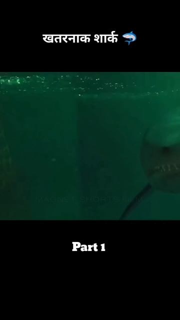 Dangerous shark 🦈 ।। Part 1 ।। #shorts #viral #trending смотреть онлайн
