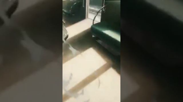 У меже на башке бензопила осталась. смотреть онлайн