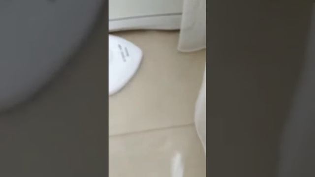 VID 20200405 WA0002 смотреть онлайн