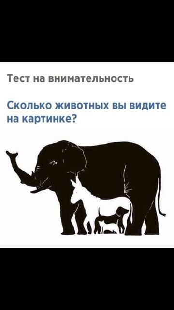 m #shorts смотреть онлайн