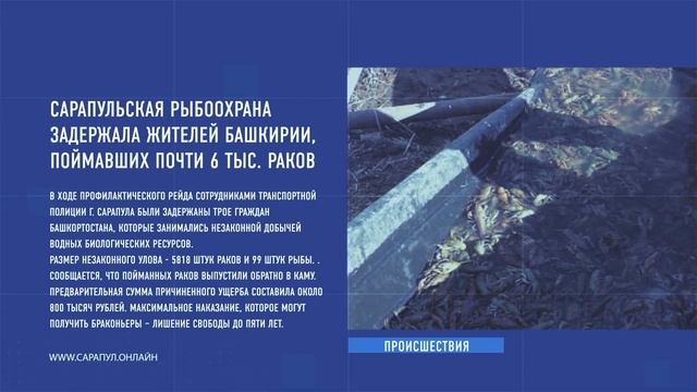 Главное за неделю в Сарапула смотреть онлайн