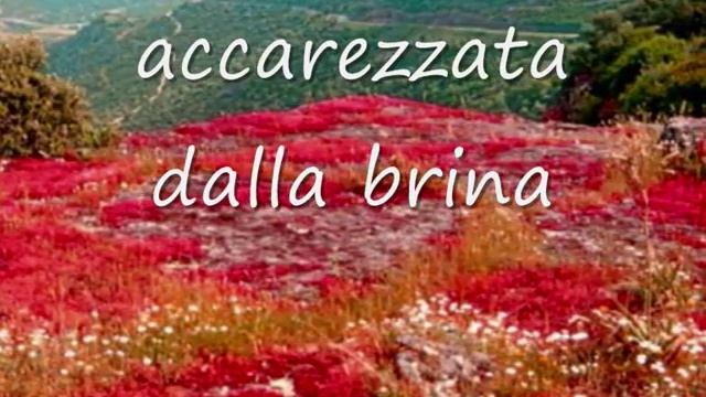 " Unu ballu seriu" смотреть онлайн