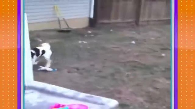 Весело смотреть онлайн