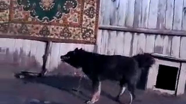 ххаха смотреть онлайн