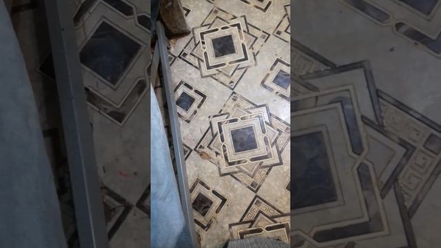 Кот вместо собаки 🐶 смотреть онлайн