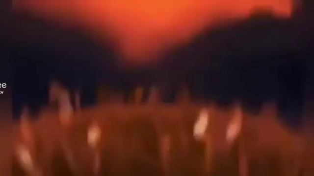 коты воители бич 😼 смотреть онлайн