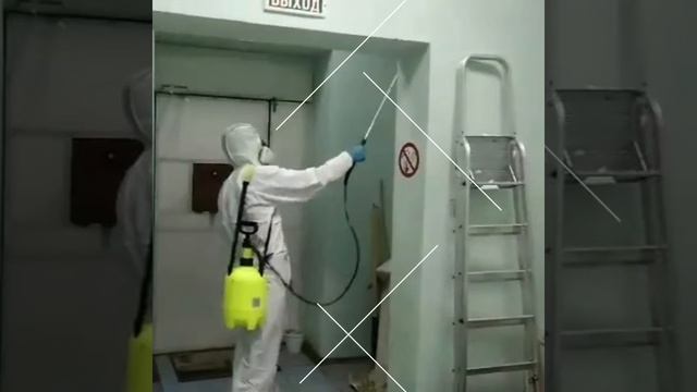 Обработка от тараканов | Дезинфекционная компания Зелёный луг смотреть онлайн