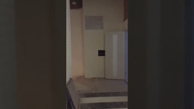 зебра 1 смотреть онлайн