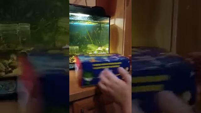 Радужный зверинец часть 2 смотреть онлайн