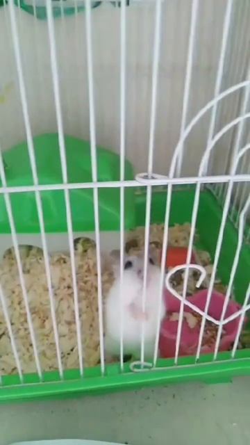 28 июля 2023 г. смотреть онлайн