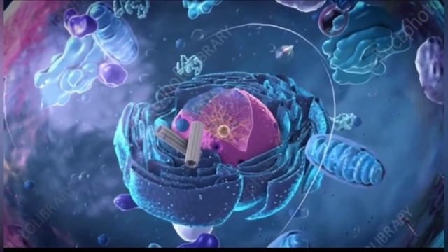 What is Cytoplasm смотреть онлайн