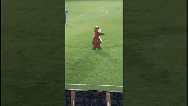 МЕДВЕЖЬЯ ЛЕЗГИНКА НА ФУТБОЛЬНОМ ПОЛЕ/BEAR lezginka on the football field смотреть онлайн