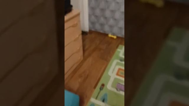 у меня появилась птичка 🎉🎉🎉 смотреть онлайн