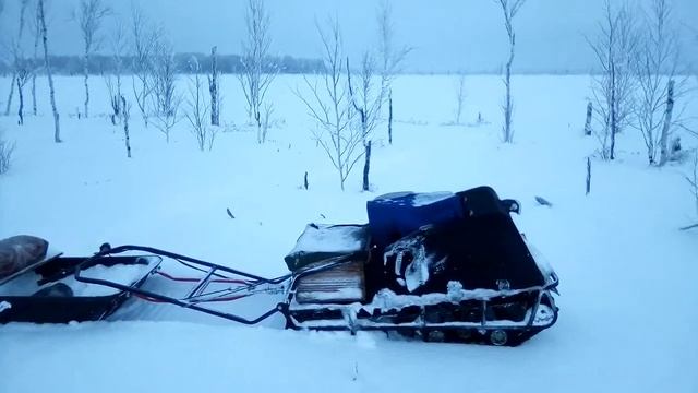 Клюквенное болото зимой. смотреть онлайн