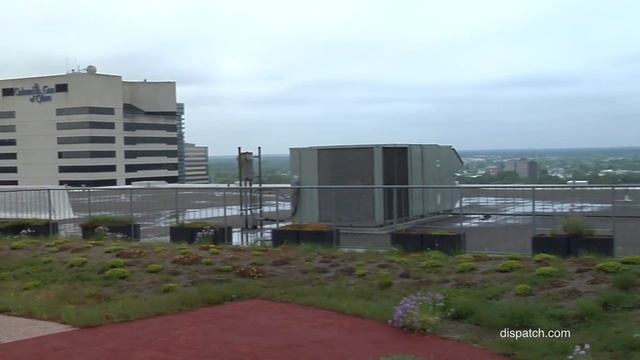 Lazarus Building's rooftop garden смотреть онлайн