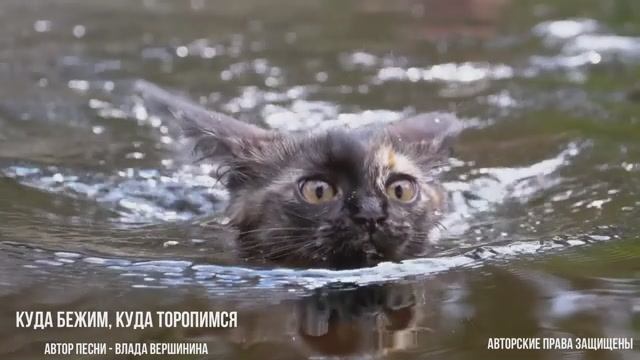 ВЫ И ТАКУЮ ПЕСНЮ ЕЩЕ НЕ СЛЫШАЛИ! ПОСЛУШАЕТЕ И НИКОГДА НЕ ЗАБУДЕТЕ! смотреть онлайн