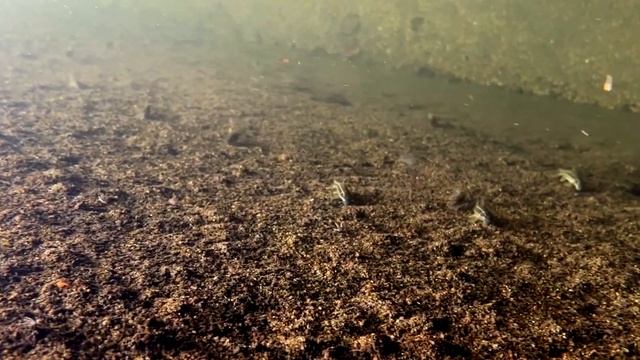 HOW TO ENJOY KERALA SCENERY with Naveen Richard смотреть онлайн