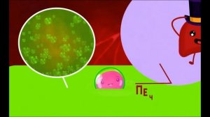 Путешествие по телу человека