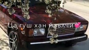 Шамиль Дидигов- Хьоменаг❤️ чеченская песня💣
